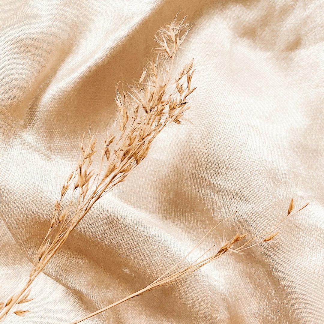 The Evolution of Bedding Materials Throughout History