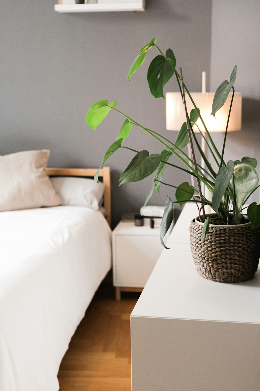 Incorporating Plants in Your Bedroom for a Serene Sleeping Environment