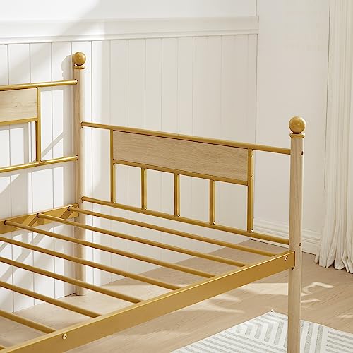 Lostcat Twin Size Daybed with Trundle Bed, Sofa Bed Metal Framed for Kids Teens Adults, Multifunctional Daybed with Pullout Trundle for Window Living Room, No Box Spring Needed, Space Saving, Golden