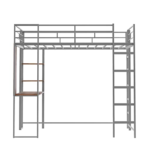 Lostcat Twin Loft Bed with 2 Shelves and one Desk,Metal Structure Bedframe with Safety Guardrail and Ladder,for Kids/Teen/Adults Bedroom,Silver - Lostcat