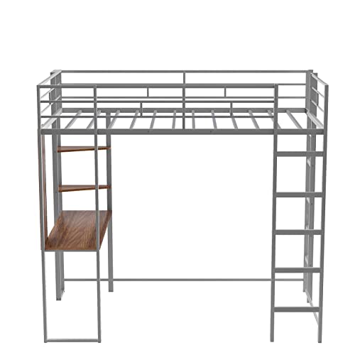 Lostcat Twin Loft Bed with 2 Shelves and one Desk,Metal Structure Bedframe with Safety Guardrail and Ladder,for Kids/Teen/Adults Bedroom,Silver - Lostcat