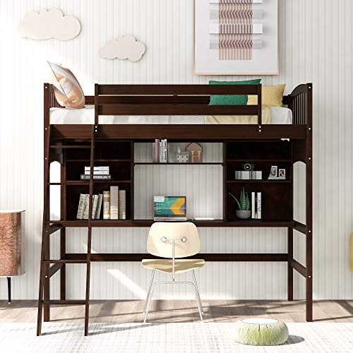 Cat hotsell loft bed